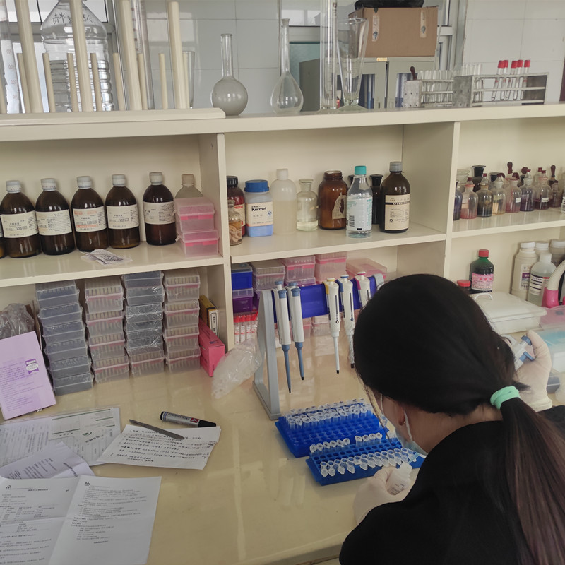  我公司非洲猪瘟检测仪在临汾市食物公司利用