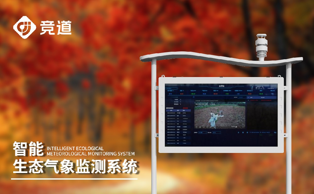 负氧离子监测体系