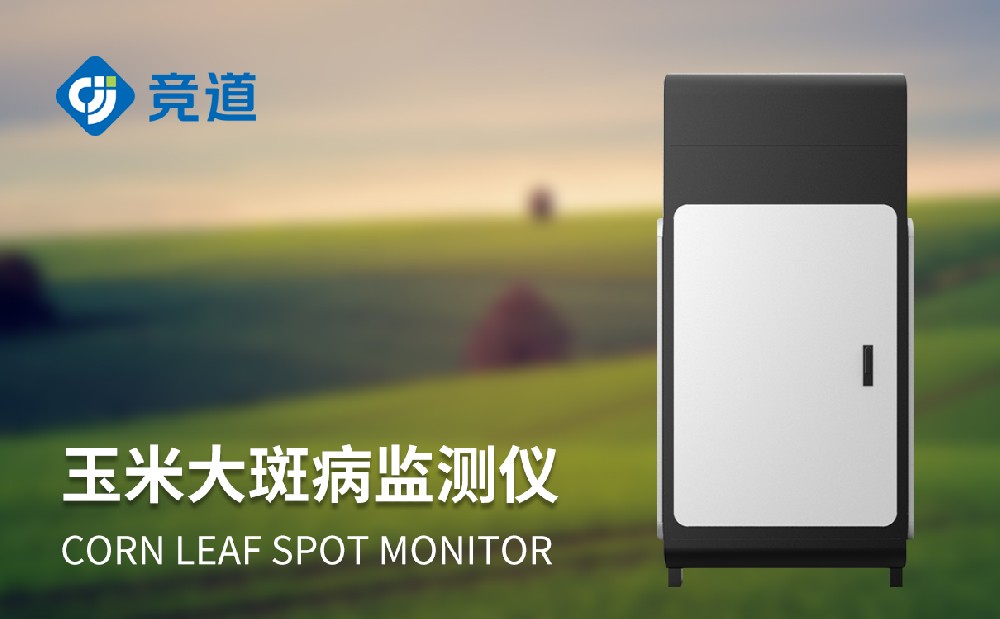 玉米大斑病防治老手段，玉米大斑病监测仪晋升病害管理才能