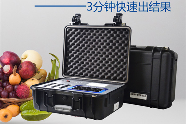 食物宁静查验检测装备到场食物查抄督查步履