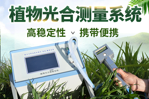 便携式光合仪-光协感化测定仪