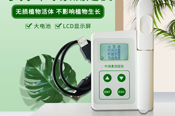 叶绿素测定仪 叶绿素测定仪