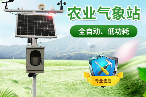 田间景象形象站 田间景象形象站