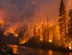 JD-SLQX丛林景象形象站提防丛林火警