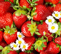 微流控农残检测仪检测农残新手艺